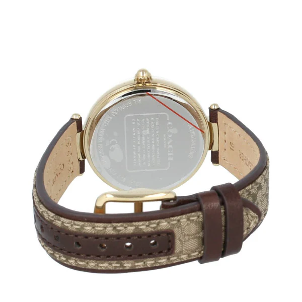 Refined Coach Park Brown Leather Watch — 039