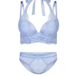 Kareena-Push-Up-Plunge-Bra-1.webp